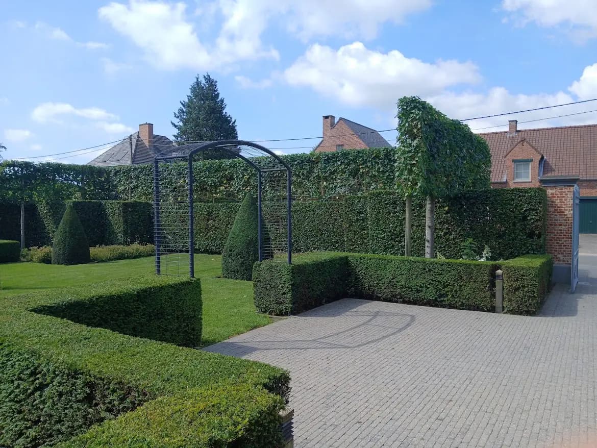 Volle groenblijvende haag als doorgang in een tuin