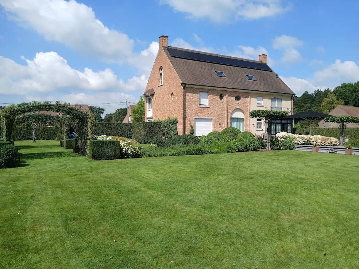 Rustige groene tuin met volwassen bomen