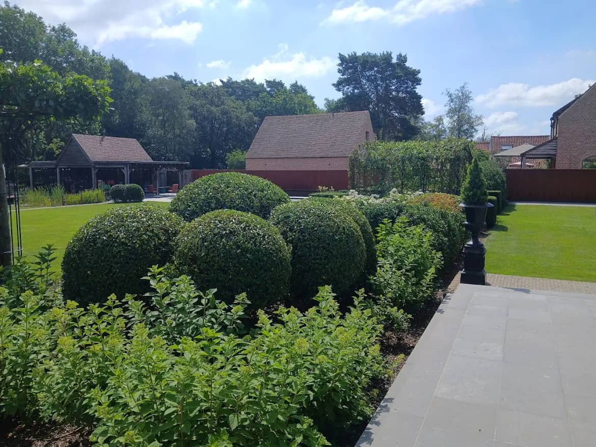 Verzorgde tuin met vormgesnoeide struiken