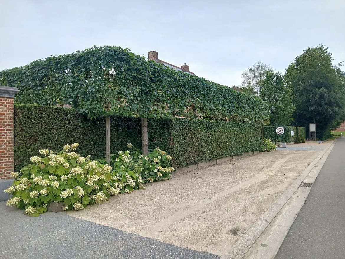 Open toegang langs gesnoeide vormbomen