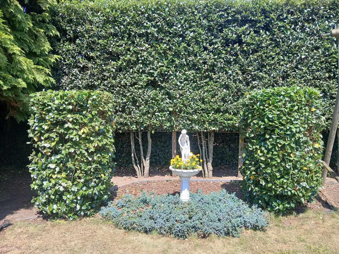 Nauwkeurig gesnoeide donkergroene vormbeplanting