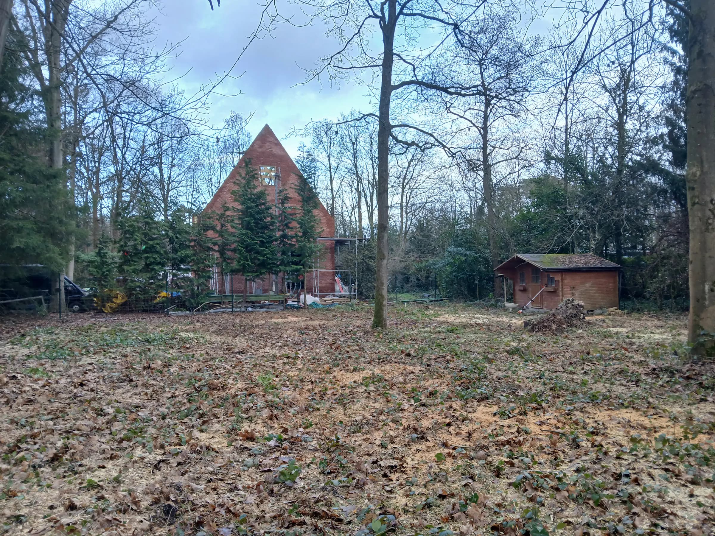 Opgeruimde bosrijke tuin na de werken